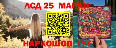 мдпв Новозыбков
